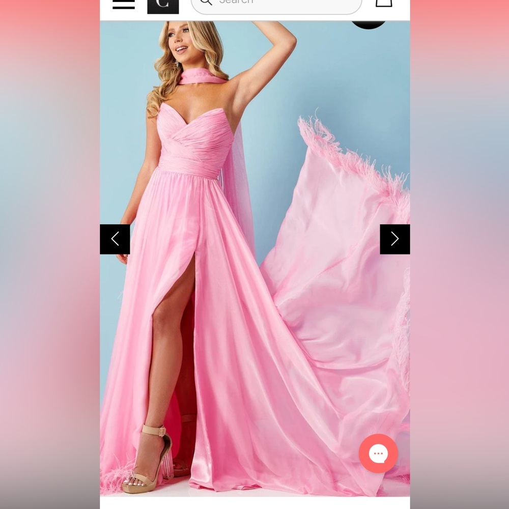 Rachel Allan pink gown with cape and feathers size 4